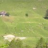 10.06.2006 Schweiz